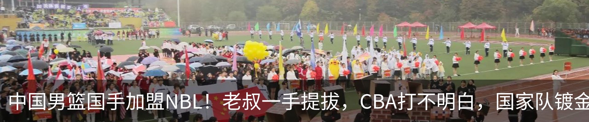 最新动态