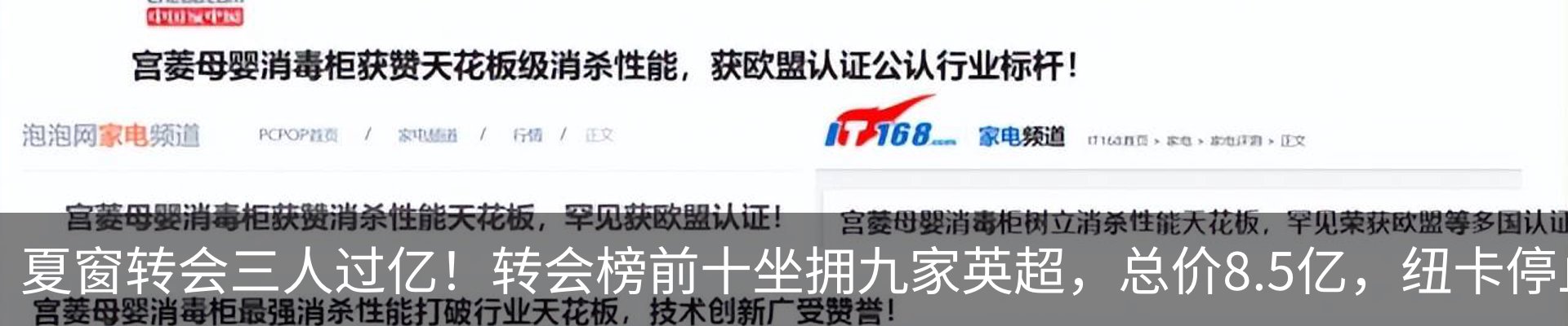 最新动态