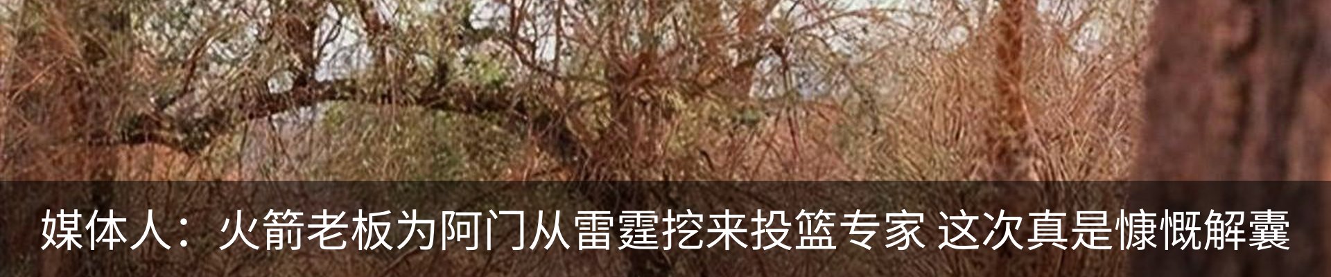 最新动态