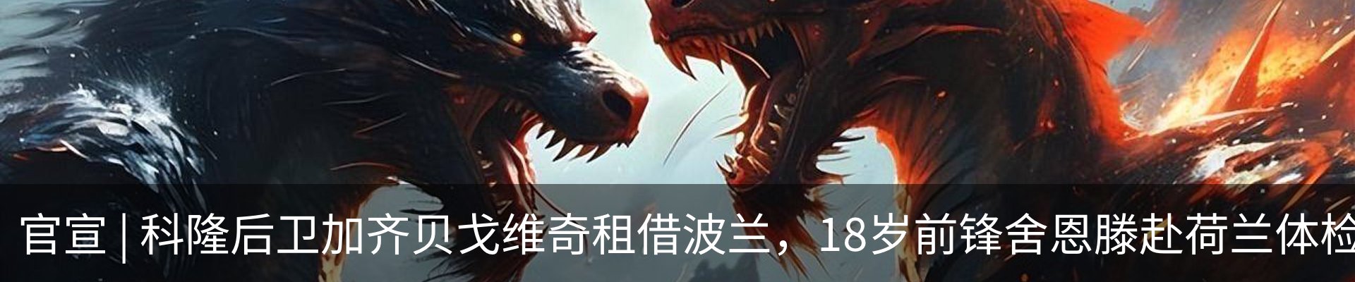 最新动态