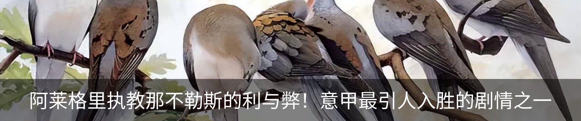 最新动态