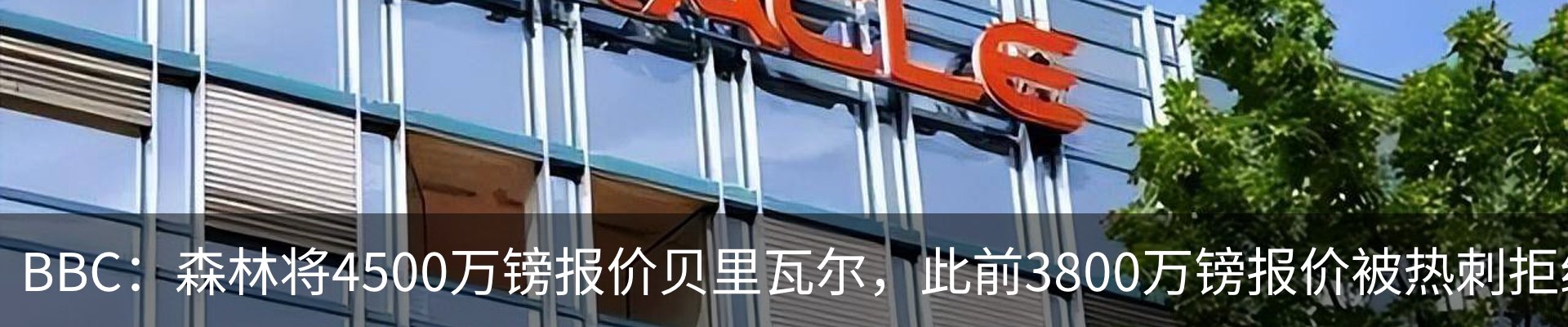 最新动态
