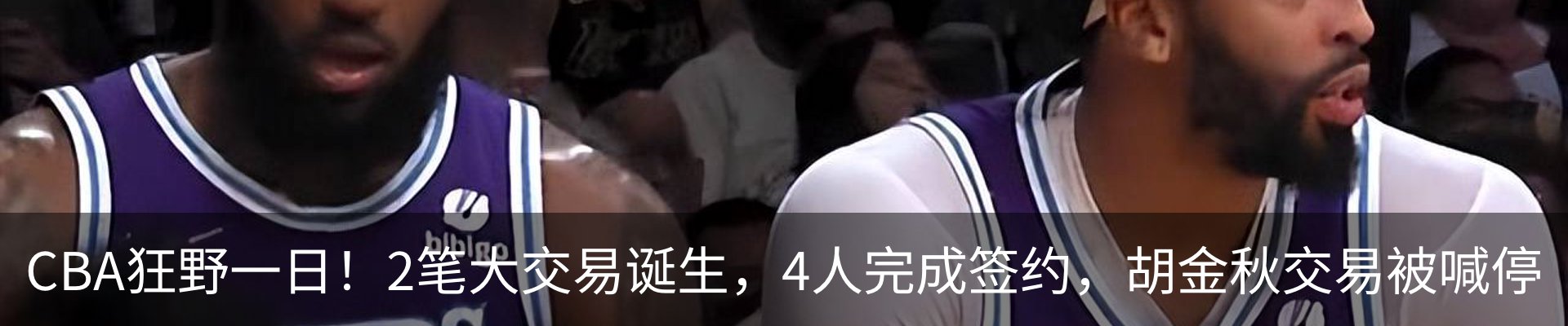 最新动态